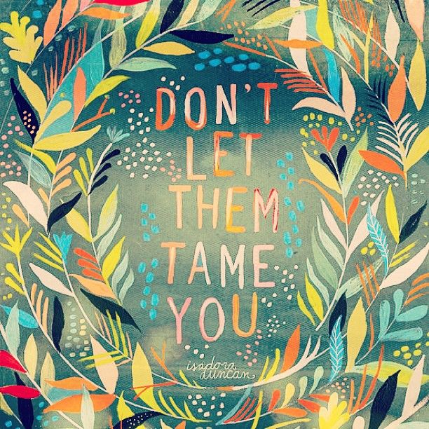 Don't Let Them Tame You